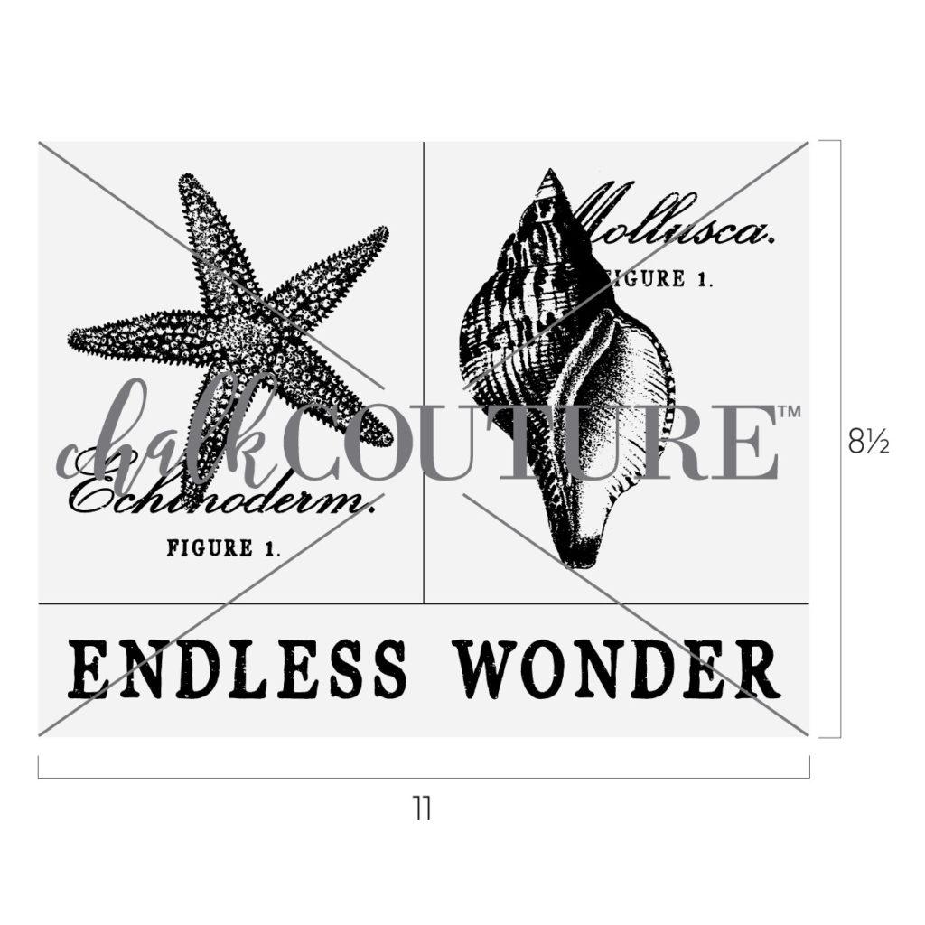 Live Deeply Collection Endless Wonder Chalk Transfer
