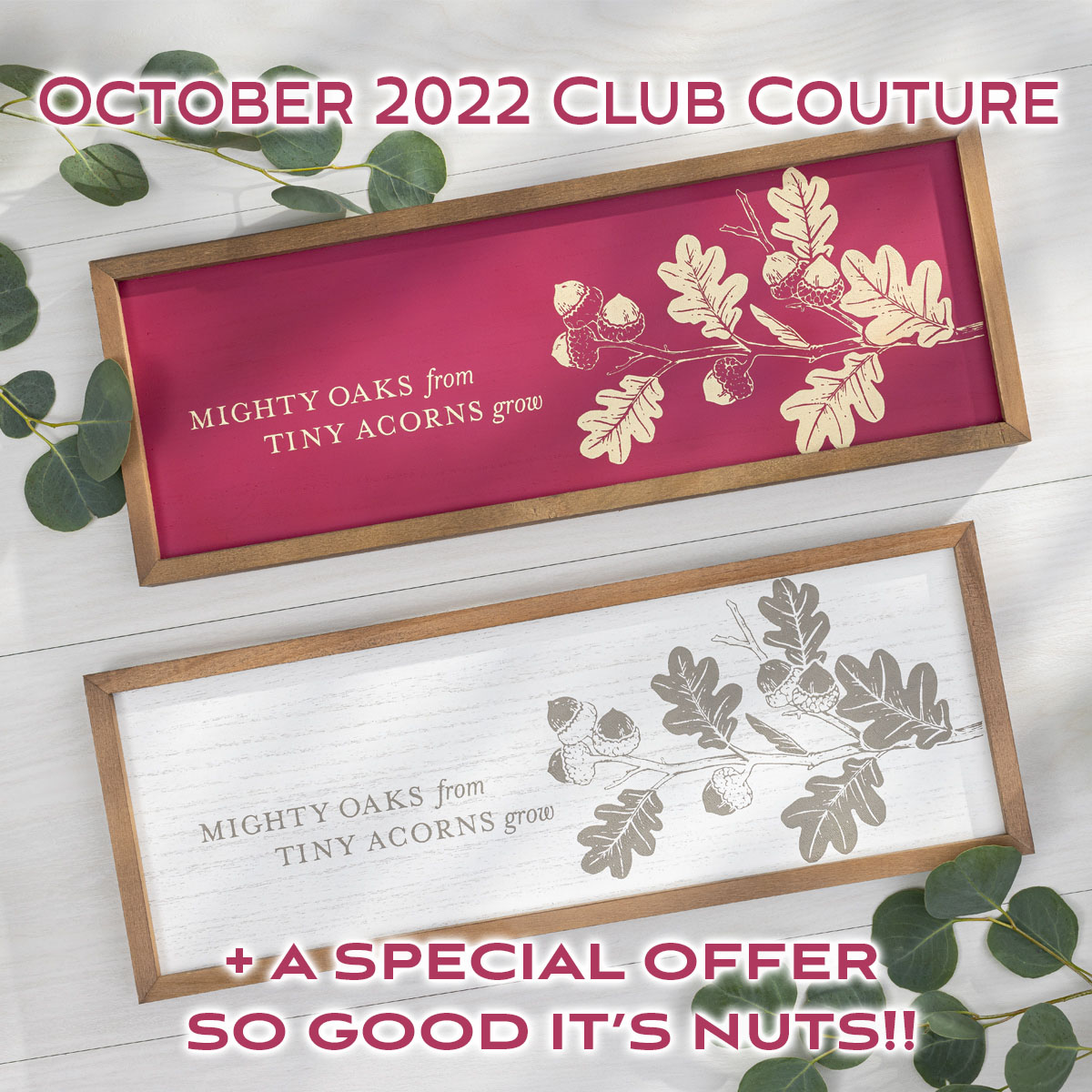 October 2022 Club Couture is a little nuts